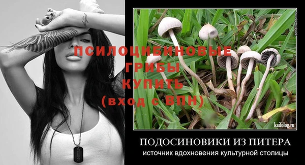 скорость Балахна