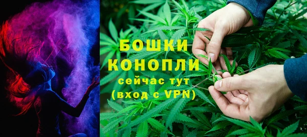 ПСИЛОЦИБИНОВЫЕ ГРИБЫ Арсеньев